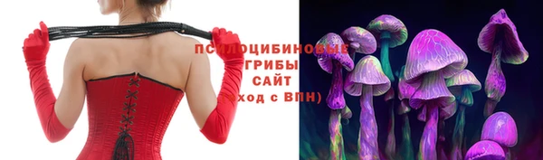 каннабис Белокуриха