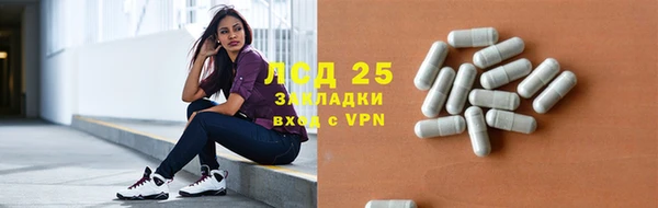 ПСИЛОЦИБИНОВЫЕ ГРИБЫ Белоозёрский