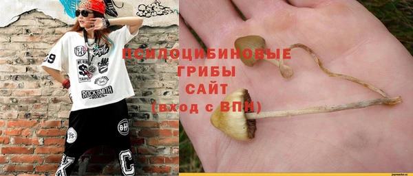 тгк Баксан